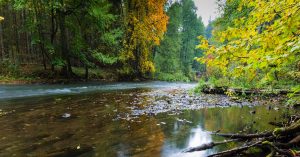 Mulberry River Float Advent
