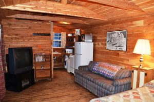 byrds cedar cabin living room