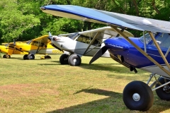 byrds airstrip carbon cubs byrds airstrip carbon cubs