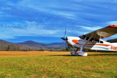 byrds airstrip cessna 185