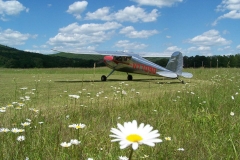 byrds airstrip cessna flower
