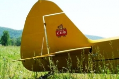 byrds airstrip cub tail