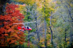 byrds airstrip gyro autumn