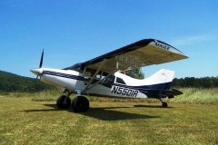 byrds airstrip maule tires