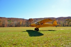 byrds airstrip pa-18