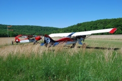 byrds airstrip safari