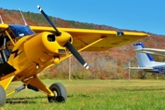 byrds airstrip supercub cessna