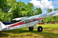 byrds airstrip supercub flyin