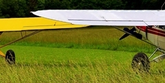 byrds airstrip twin cubs