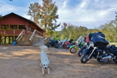 byrds restaurant bikers byrds restaurant bikers